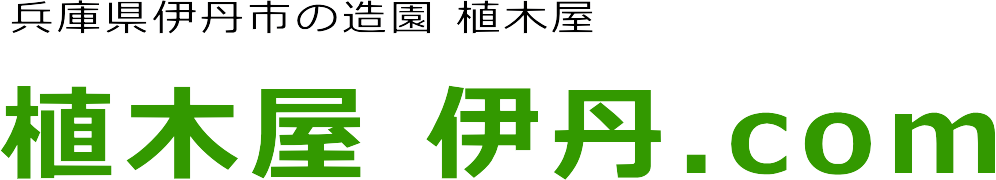 伊丹市の剪定、お手入れの施工事例と料金のご紹介。パ－ト２