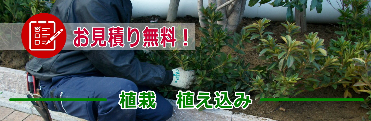 植栽・植え込み見積り無料！