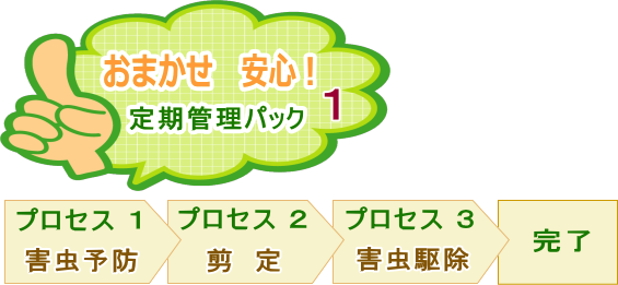 おまかせ安心　定期管理パック１