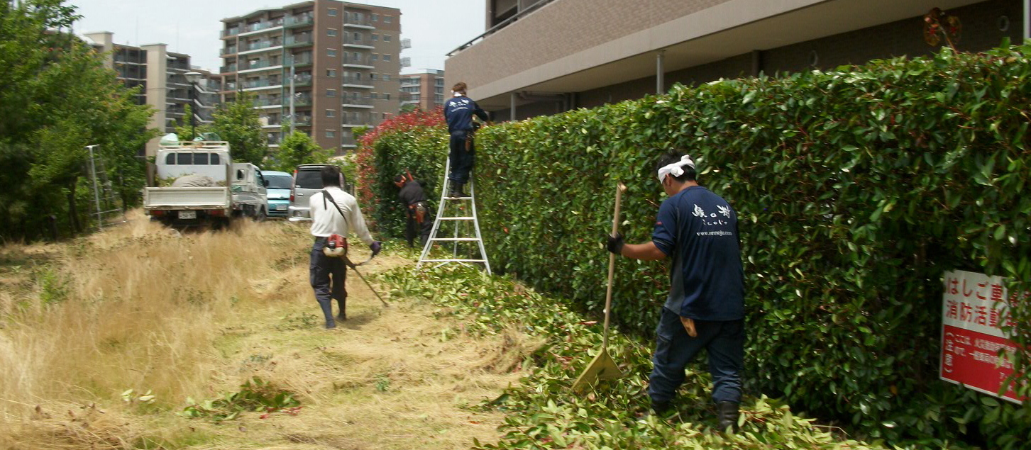管理担当者様へ 植栽管理のお悩みを 解決!