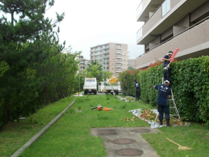 植 栽 管 理 に つ い て