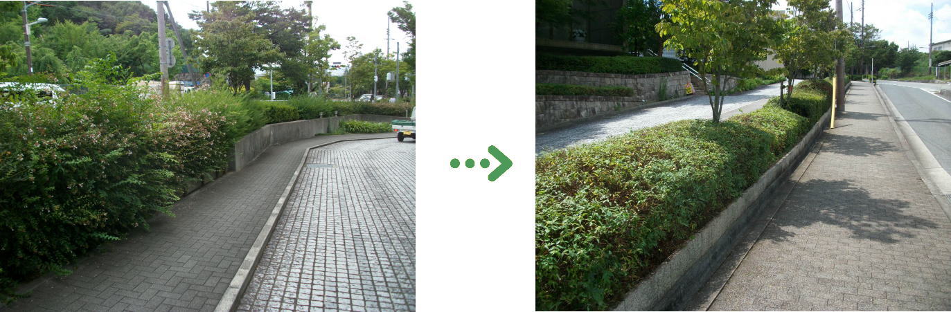 植栽管理の施工前と施工後